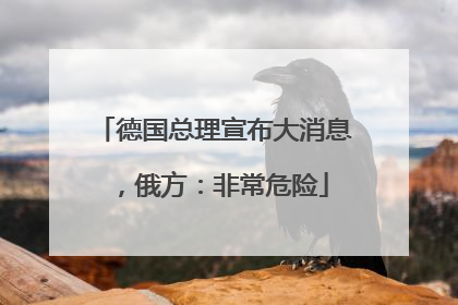 德国总理宣布大消息，俄方：非常危险