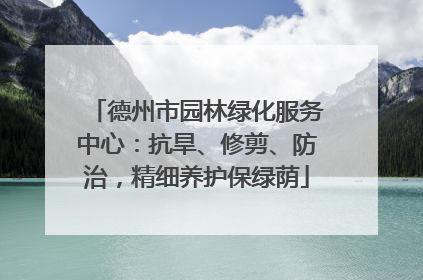 德州市园林绿化服务中心：抗旱、修剪、防治，精细养护保绿荫
