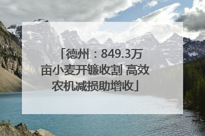 德州：849.3万亩小麦开镰收割 高效农机减损助增收