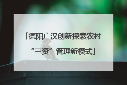 德阳广汉创新探索农村“三资”管理新模式