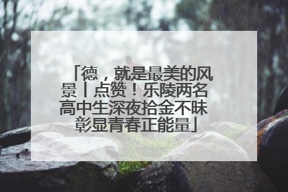 德，就是最美的风景丨点赞！乐陵两名高中生深夜拾金不昧 彰显青春正能量