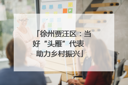 徐州贾汪区：当好“头雁”代表 助力乡村振兴