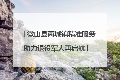 微山县两城镇精准服务助力退役军人再启航