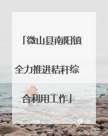 微山县南阳镇全力推进秸秆综合利用工作