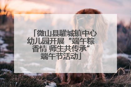 微山县驩城镇中心幼儿园开展“端午粽香情 师生共传承”端午节活动