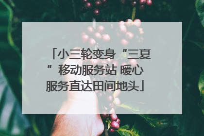 小三轮变身“三夏”移动服务站 暖心服务直达田间地头
