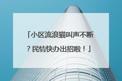 小区流浪猫叫声不断？民情快办出招啦！
