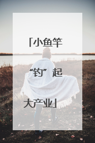 小鱼竿“钓”起大产业