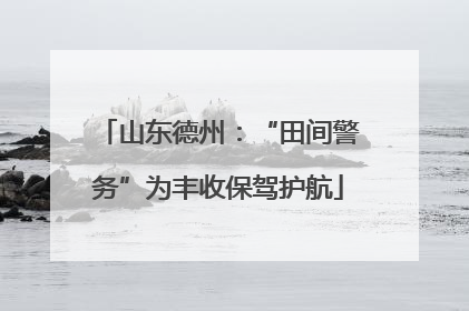 山东德州：“田间警务”为丰收保驾护航