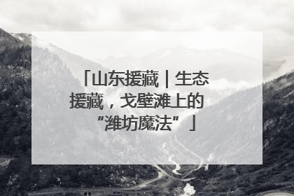 山东援藏｜生态援藏，戈壁滩上的“潍坊魔法”
