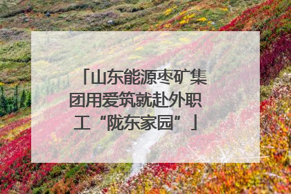 山东能源枣矿集团用爱筑就赴外职工“陇东家园”
