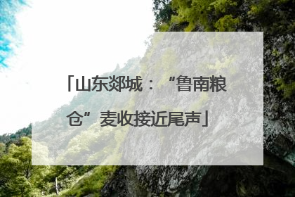 山东郯城：“鲁南粮仓”麦收接近尾声