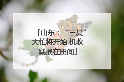 山东：“三夏”大忙将开始 机收减损在田间