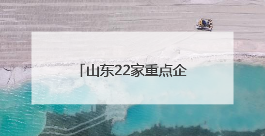 山东22家重点企业亮相第九届丝绸之路国际博览会