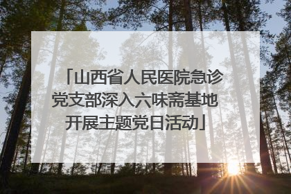 山西省人民医院急诊党支部深入六味斋基地开展主题党日活动
