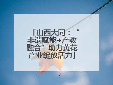 山西大同：“非遗赋能+产教融合”助力黄花产业绽放活力