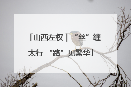 山西左权｜“丝”缠太行 “路”见繁华