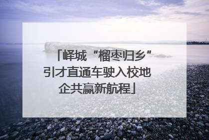 峄城“榴枣归乡”引才直通车驶入校地企共赢新航程