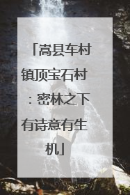 嵩县车村镇顶宝石村：密林之下有诗意有生机