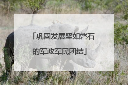 巩固发展坚如磐石的军政军民团结