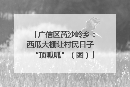 广信区黄沙岭乡：西瓜大棚让村民日子“顶呱呱”（图）
