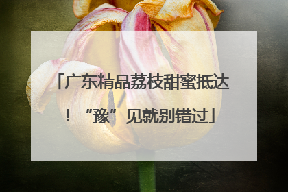 广东精品荔枝甜蜜抵达！“豫”见就别错过