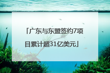广东与东盟签约7项目累计超31亿美元