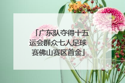 广东队夺得十五运会群众七人足球赛佛山赛区首金