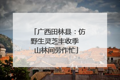 广西田林县：仿野生灵芝丰收季 山林间劳作忙