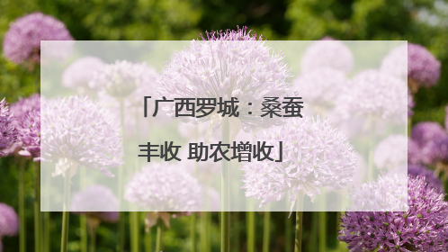 广西罗城：桑蚕丰收 助农增收