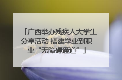 广西举办残疾人大学生分享活动 搭建学业到职业“无障碍通道”