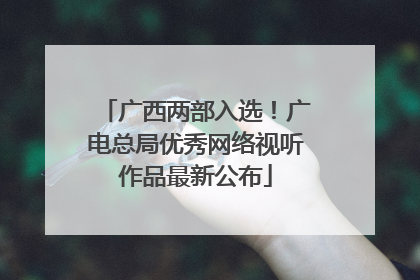 广西两部入选！广电总局优秀网络视听作品最新公布