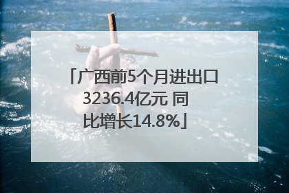广西前5个月进出口3236.4亿元 同比增长14.8%