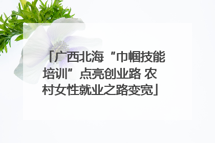 广西北海“巾帼技能培训”点亮创业路 农村女性就业之路变宽