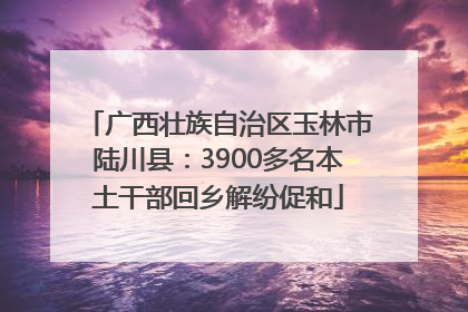 广西壮族自治区玉林市陆川县：3900多名本土干部回乡解纷促和