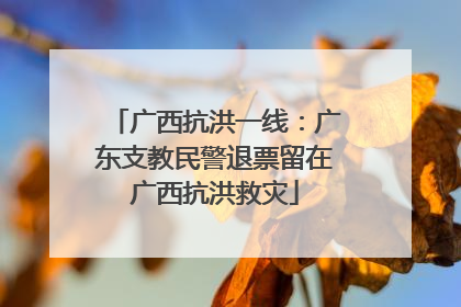 广西抗洪一线：广东支教民警退票留在广西抗洪救灾
