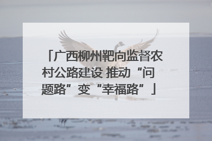 广西柳州靶向监督农村公路建设 推动“问题路”变“幸福路”