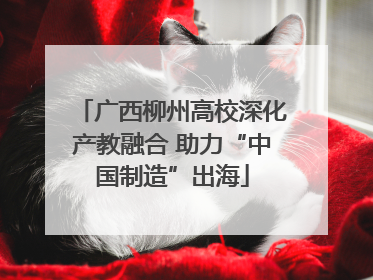 广西柳州高校深化产教融合 助力“中国制造”出海