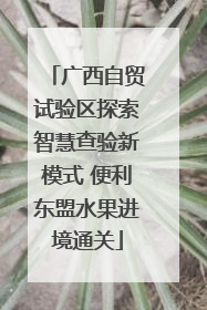 广西自贸试验区探索智慧查验新模式 便利东盟水果进境通关