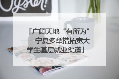 广阔天地“有所为”——宁夏多举措拓宽大学生基层就业渠道