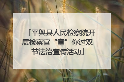 平舆县人民检察院开展检察官“童”你过双节法治宣传活动