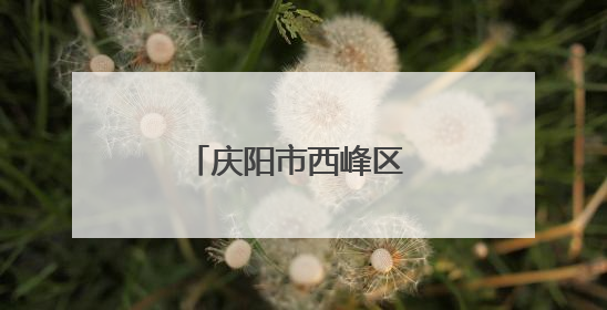 庆阳市西峰区 非遗工坊成高校学生实训课堂