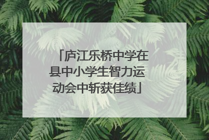 庐江乐桥中学在县中小学生智力运动会中斩获佳绩