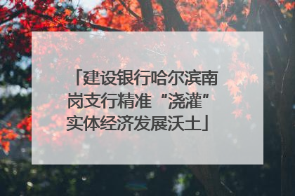 建设银行哈尔滨南岗支行精准“浇灌”实体经济发展沃土