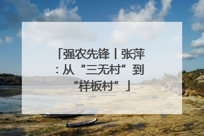 强农先锋丨张萍：从“三无村”到“样板村”