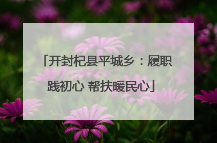 开封杞县平城乡：履职践初心 帮扶暖民心