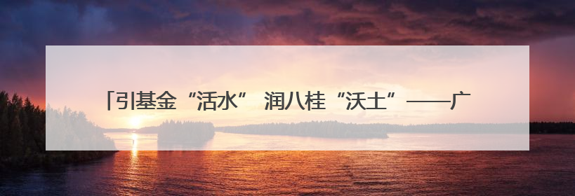 引基金“活水” 润八桂“沃土”——广西积极构建高效政府基金投资运作机制