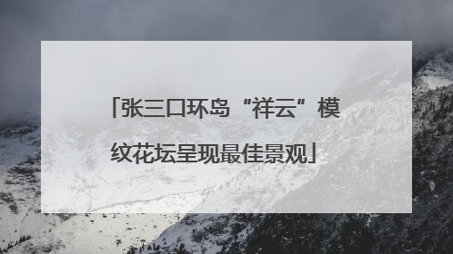 张三口环岛“祥云”模纹花坛呈现最佳景观