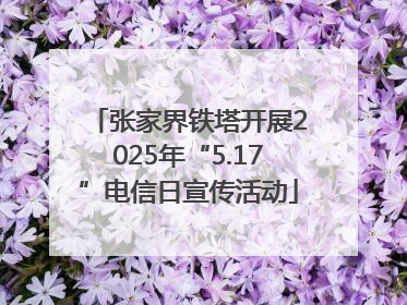 张家界铁塔开展2025年“5.17”电信日宣传活动