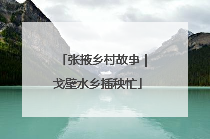 张掖乡村故事｜戈壁水乡插秧忙